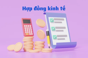 10 điều khoản quan trọng không thể thiếu trong hợp đồng kinh tế