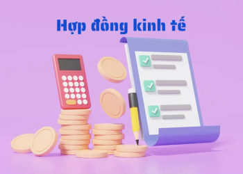 10 điều khoản quan trọng không thể thiếu trong hợp đồng kinh tế