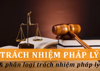 Trách nhiệm pháp lý của Giám đốc / người đại diện pháp luật