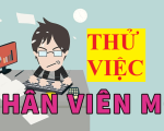 Thời gian thử việc và mức lương thử việc theo pháp luật