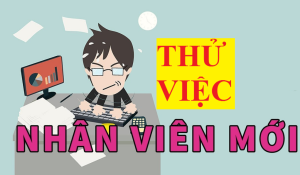 Thời gian thử việc và mức lương thử việc theo pháp luật