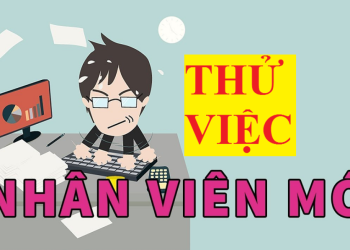 Thời gian thử việc và mức lương thử việc theo pháp luật
