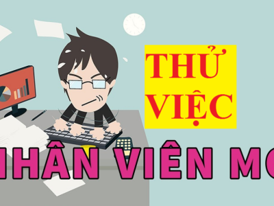 Thời gian thử việc và mức lương thử việc theo pháp luật