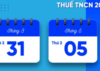 Quy định mới về thuế thu nhập cá nhân và doanh nghiệp trong năm 2025