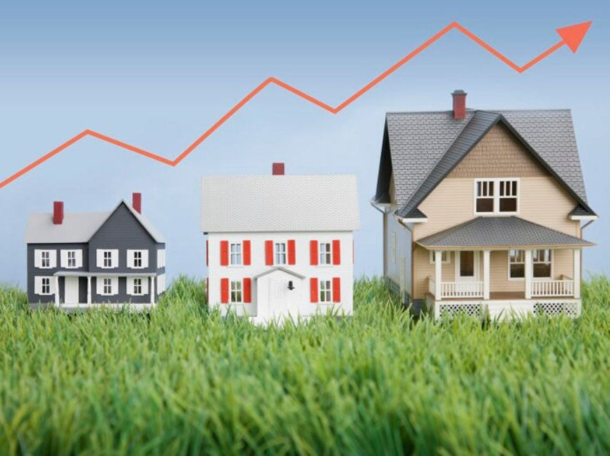 Kiểm tra tình trạng pháp lý của dự án